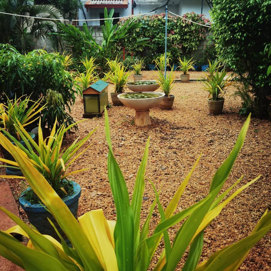 City Paradise Dambulla Exterior photo