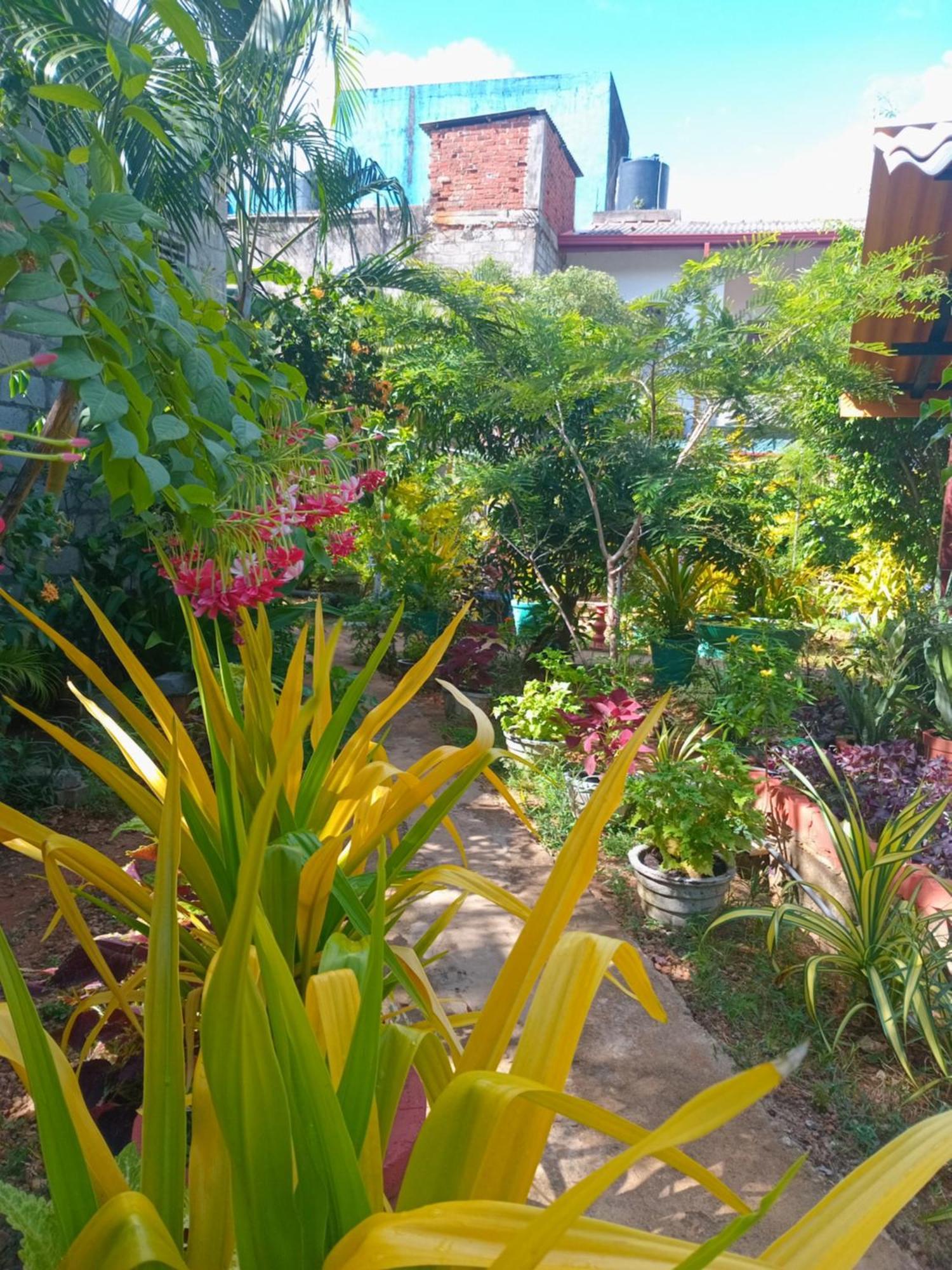 City Paradise Dambulla Exterior photo