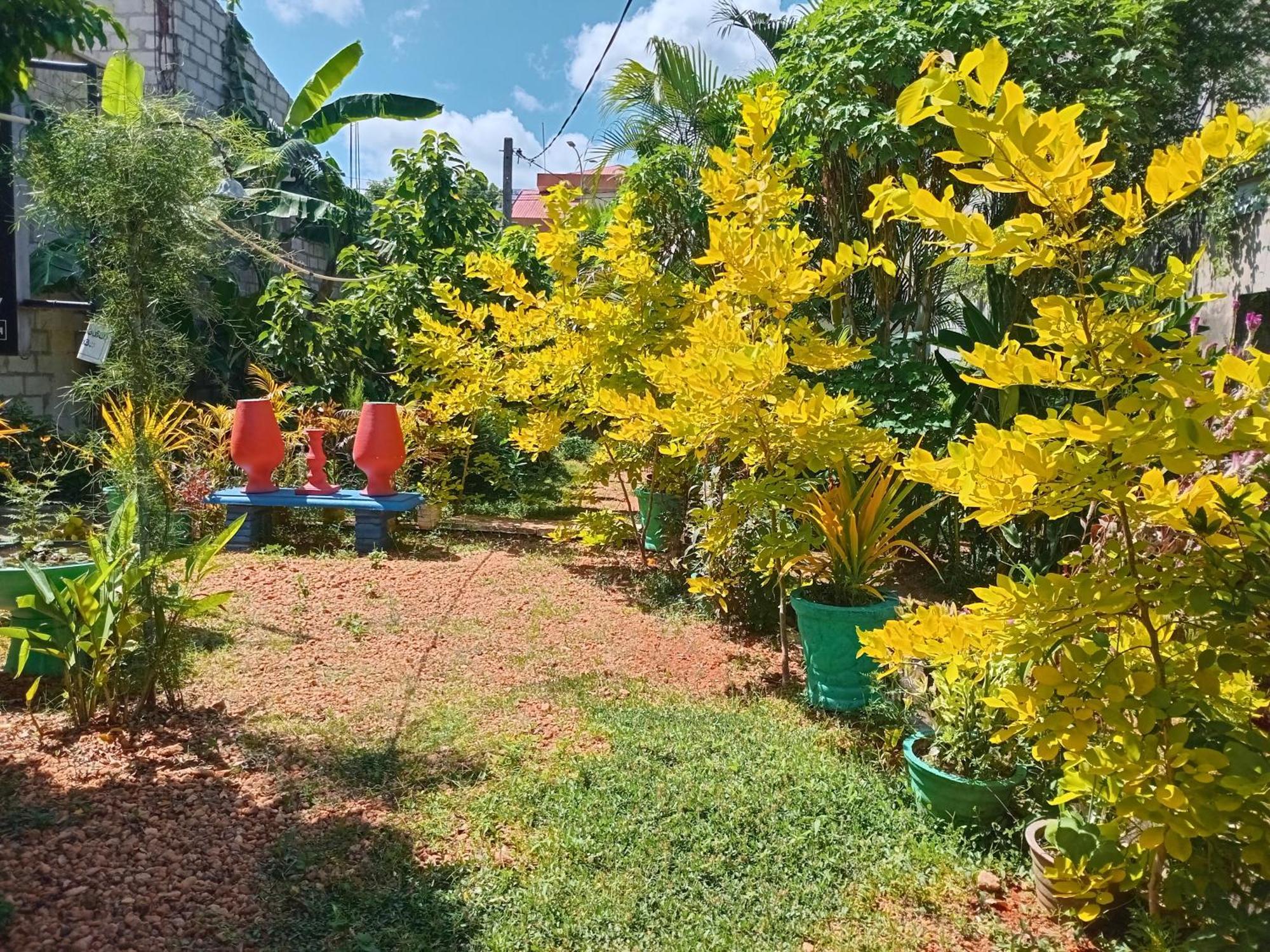 City Paradise Dambulla Exterior photo