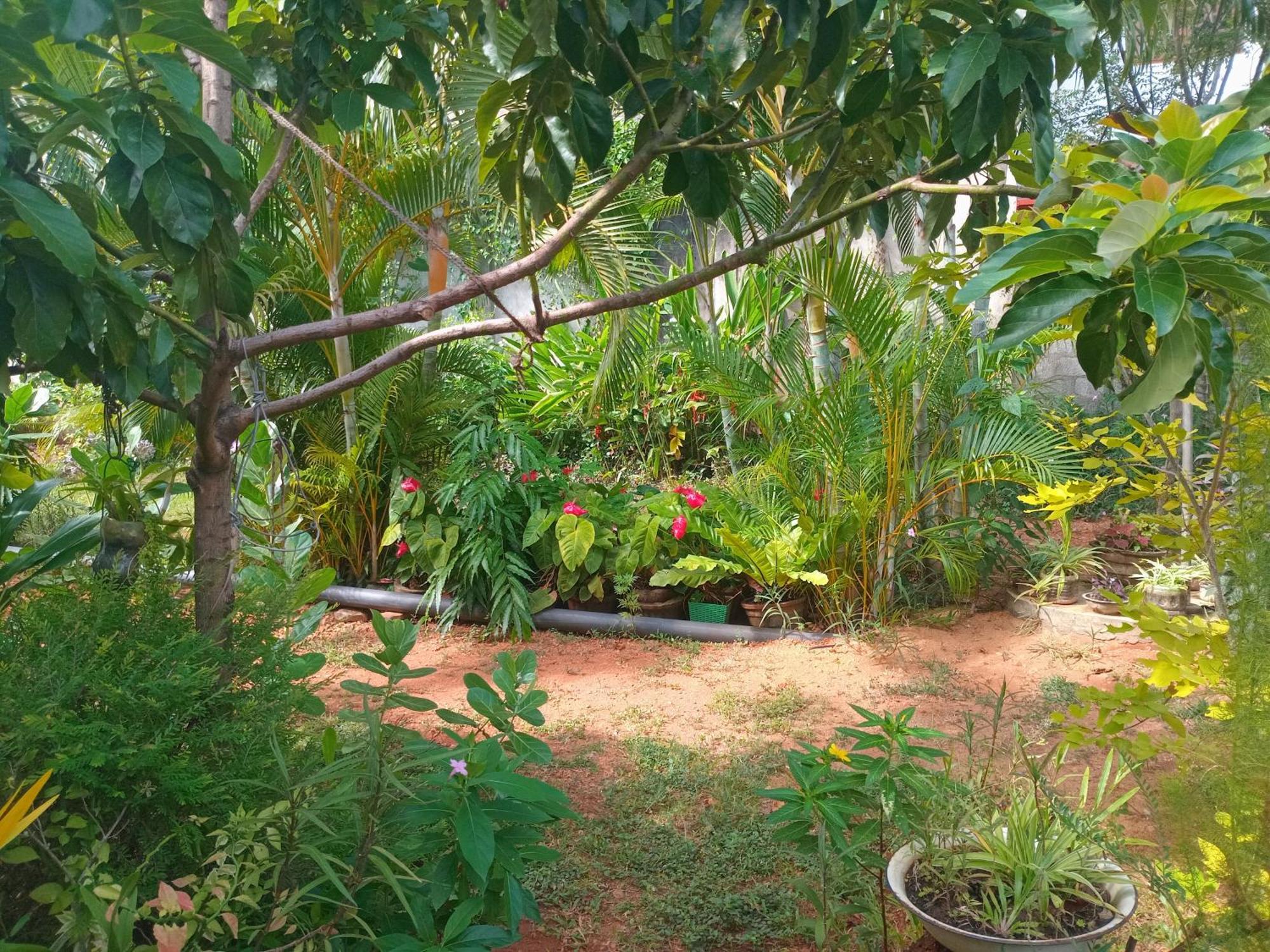 City Paradise Dambulla Exterior photo