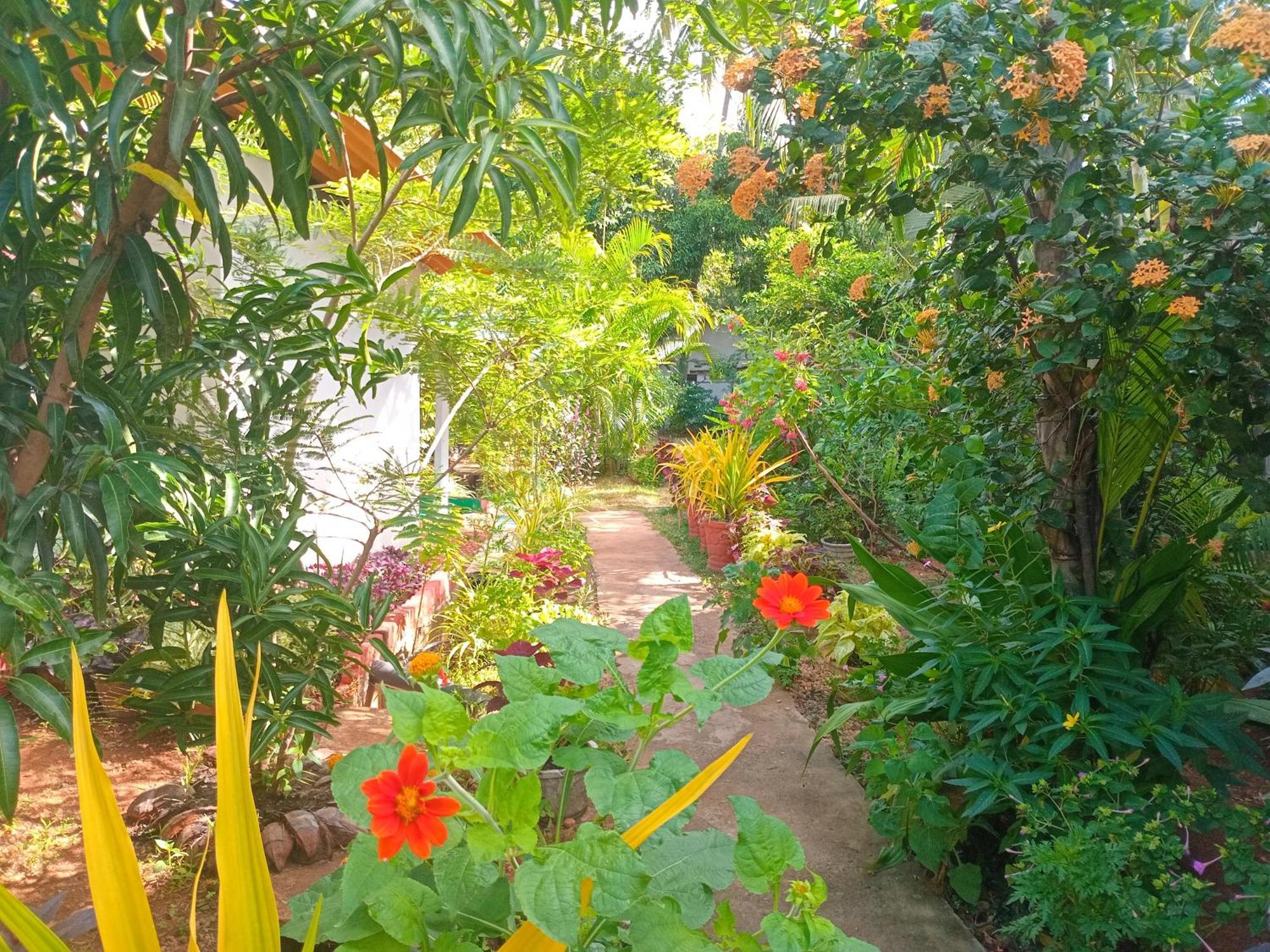 City Paradise Dambulla Exterior photo