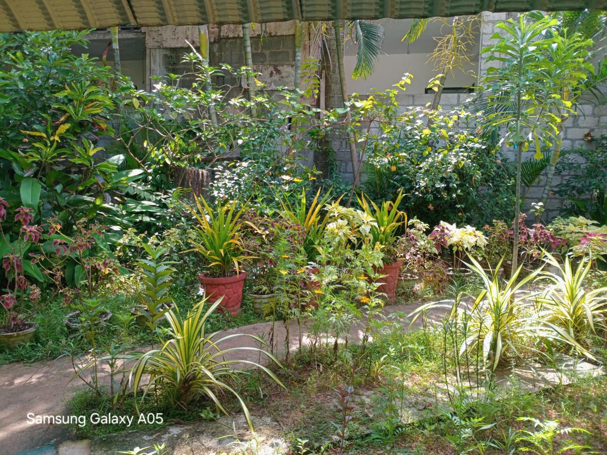 City Paradise Dambulla Exterior photo